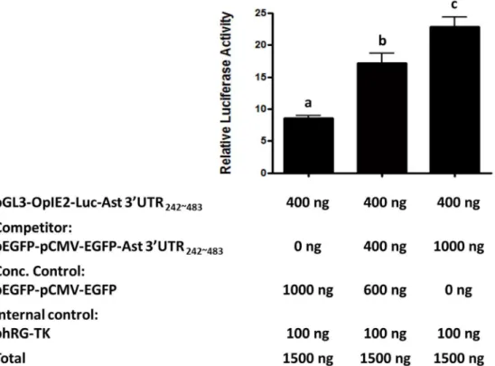 Figure 5. Multiple protein complexes are associated with Ast 3 9 -UTR 242–483 . RNA EMSA analysis of Ast 39-UTR 242–483 RNA incubated with shrimp hemocyte extracts shows that four protein complexes are associated with Ast 3 9 -UTR 242–483 (C1–C4).