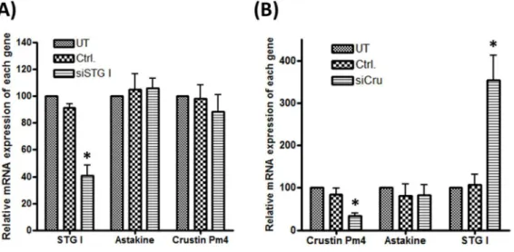 Figure 6. Depletion of STG I and crustin Pm4 does not affect the mRNA level of astakine