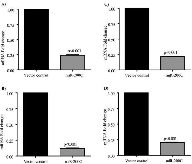Figure 4.  miR-200c targets transcript levels of MUC4 and MUC16 in S2.028 and T3M-4 cells