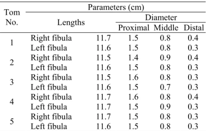 Table 1: show the length and diameter of tibiotarsal in Tom. 