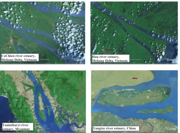 Fig. 1. Some examples of branched estuaries (source: Google Earth).
