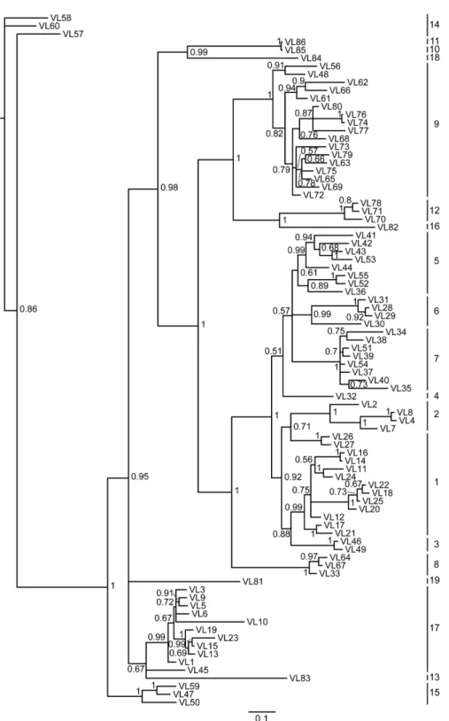 Fig 3. Phylogenetic tree analysis of the 86 Alligator sinensis V λ genes. A phylogenetic tree of the nucleotides of 86 Alligator sinensis V λ segments was constructed