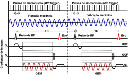 Figura 4 - Diagrama da sequˆ encia de pulso, α representa a fase entre o gradiente oscilante e os pulsos de sincronismo, TR - Tempo de repeti¸c˜ ao, TE - Tempo ao eco, RF - Radiofrequˆ encia