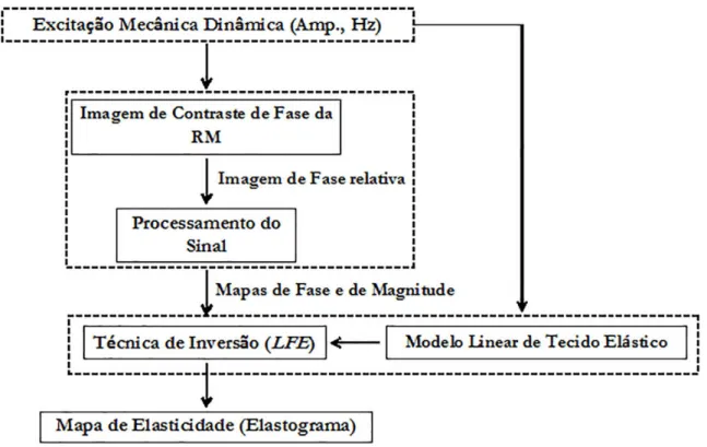 Figura 6 - Fluxograma descrevendo os passos utilizados para gerar um elastograma.