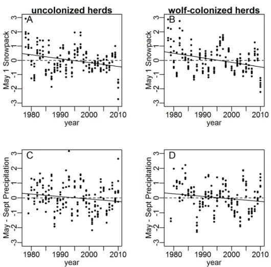 Table 1. Weighted mean regression coefficients and standard errors (P-values) from linear models of recruitment as a function of standardized elk counts and May 1 snowpack in six herds colonized by wolves and six uncolonized herds (cumulative May–