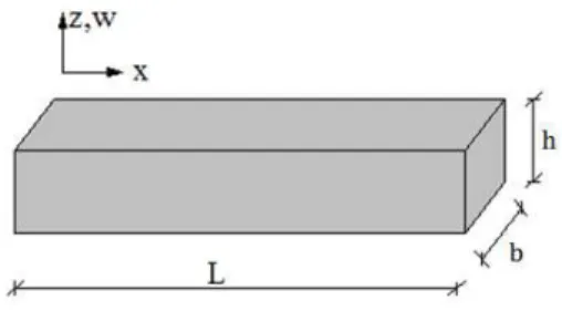 Fig. 1. Geometry of the beam 
