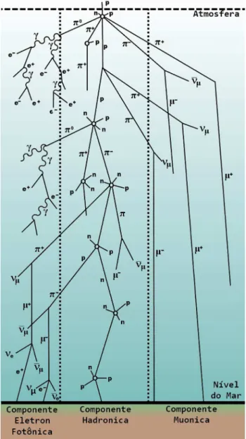 Figura 3 - Chuveiro de raios c´ osmicos. Ilustra¸c˜ ao da produ¸c˜ ao dos raios c´ osmicos secund´ arios desencadeada ap´ os uma part´ıcula de raio c´ osmico prim´ ario incidir na atmosfera