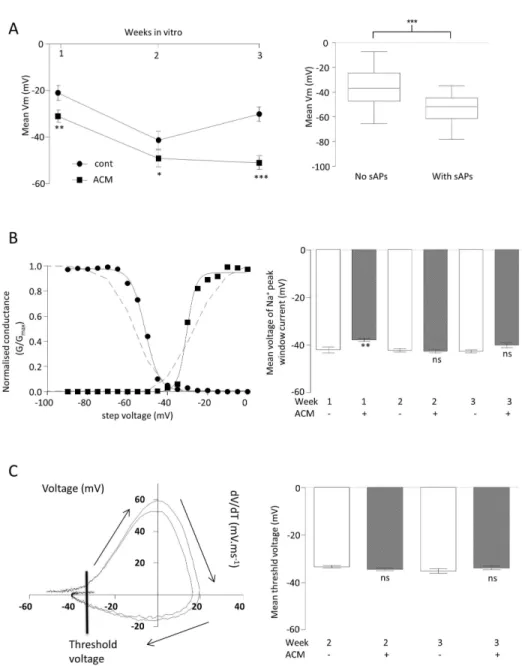 Figure  3.    Effect  of  ACM  on  basic  biophysical  properties  of  iPSC-derived  neruons  