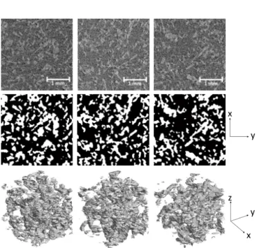Figure 6. Raw reconstructed µ-CT signal of one scan and the cor- cor-responding segmented images and 3-D renderings at (left) t = 0, (middle) t = 2 days, and (right) t = 4 days