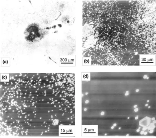 Fig. 1. Diamond coating of synergy obtained from C 2 H 4  (0.5 %) in H 2 :  a) whole reflection spot; b) patch deposit in the central point of the spot; 