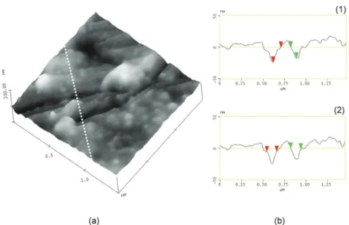 Fig. 3. Uncovered substrate surface in the reflection spot taken by AFM: a) 3D-surface view  of the morphology (the white, dashed line indicates the location of the section analysis); 