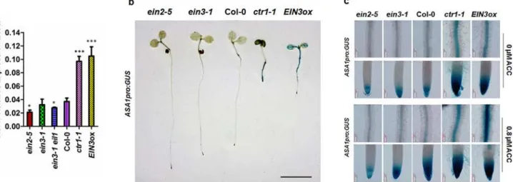 Fig 7. The expression of ASA1 was regulated by ethylene signal pathway. (a) The expression of ASA1 in ethylene signal pathway mutants