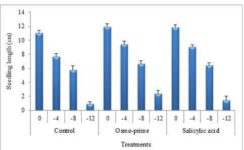 Figure 5 : The effect of priming on seedling length of millet seeds under drought stress.