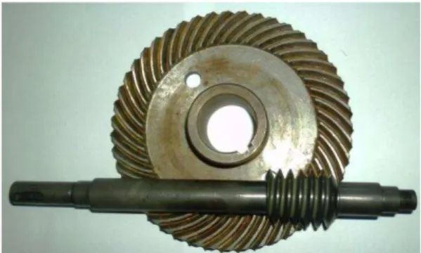 Fig. 1: Worm face gear with modified geometry  In  [1],  [3],  [4],  [7],  [8],  [13]  are  made  known  results  of  experiments  on  the  thermal  limit  of  gearboxes  equipped  with  conventional  worm  face  gears  with  different  material  combinati