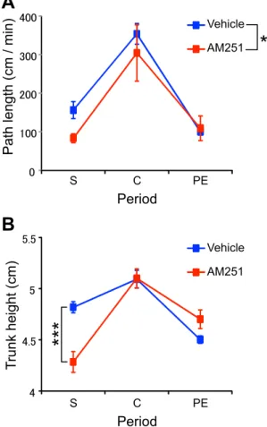 Figure 11. Behavioral activity in Experiment 3 calculated based on the 3D tracking. A: Comparison of the path lengths traveled between the test periods and treatment groups