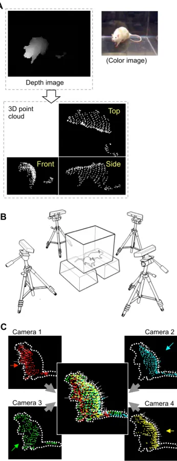 Figure 1. The 3D data acquisition method. A: Examples of a depth image (top left) captured by 1 depth camera, a corresponding color image (top right), and a 3D point cloud extracted from the depth image (bottom)