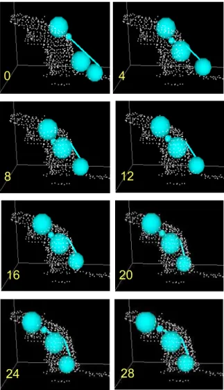 Figure 6. An example of the performance of the fitting algorithm. The 3D hull of the rat is shown as white points (the rat is rearing) and the skeleton model is shown as light blue