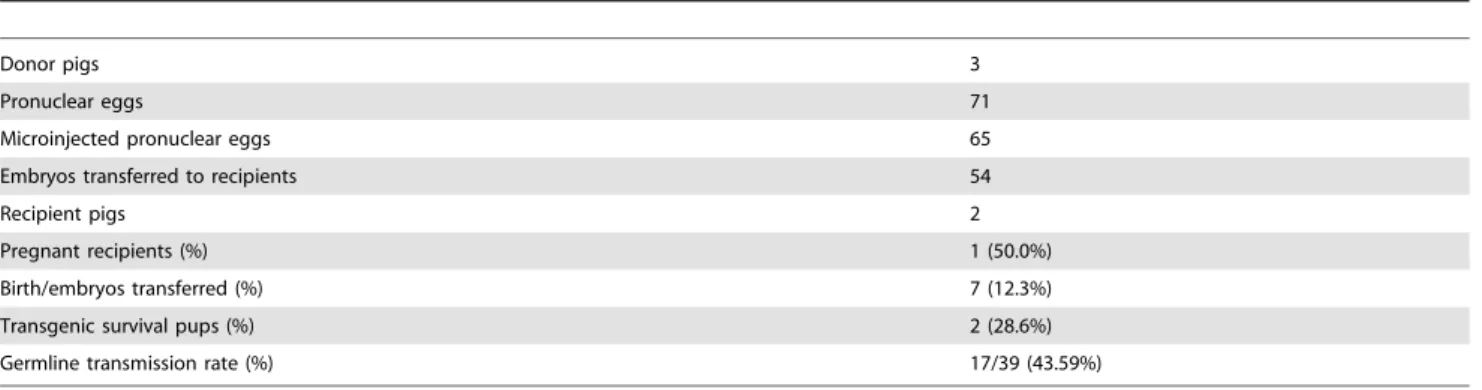 Figure 2. Transgenic founder pigs carrying the DsRed gene were detected by (a) PCR and (b) Southern blot analysis