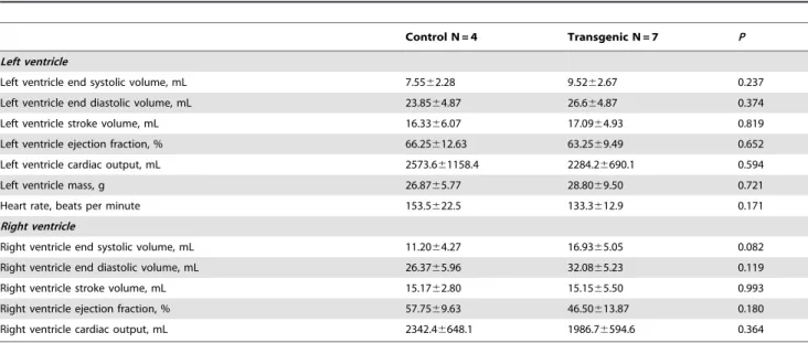 Figure 7. Whole-body CT of the normal and transgenic pigs. Neither structural differences nor abnormal lesions were observed in the DsRed pig.