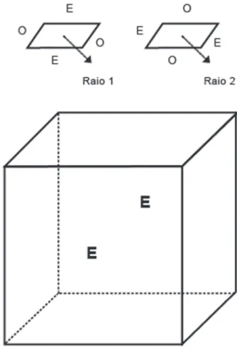 Figura 12 - Os lados de refra¸c˜ ao extraordin´ aria do cristal-da- cristal-da-Islˆ andia.