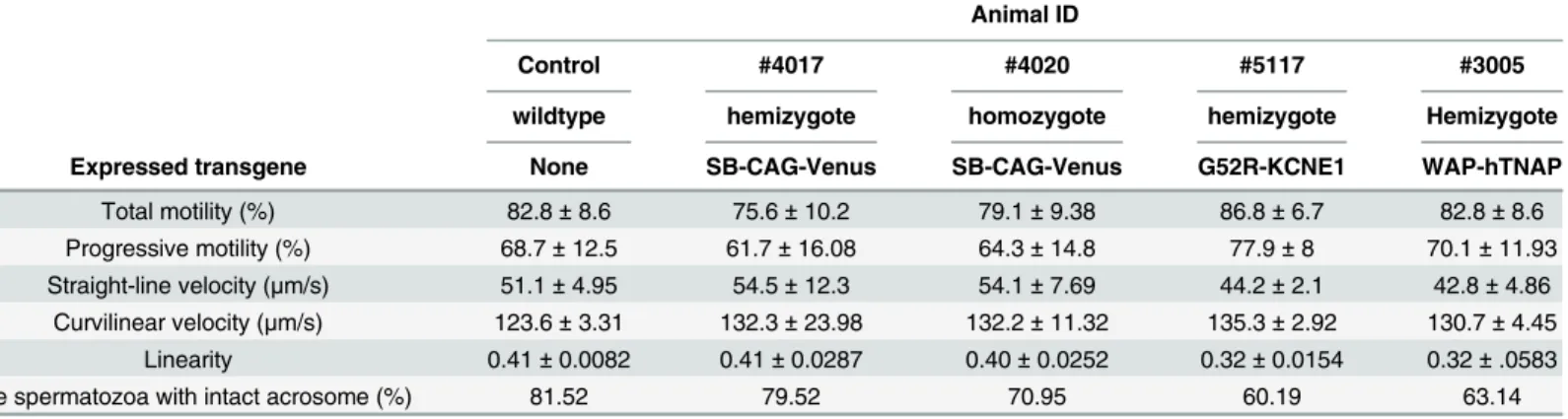 Table 2. Comparative analysis of semen parameters from transgenic and control bucks (CASA) Data represent the mean ± S.D., #4017, #4020 are the SB-CAG-Venus transgenic bucks; #5117, #3005 are transgenic bucks [27,28]