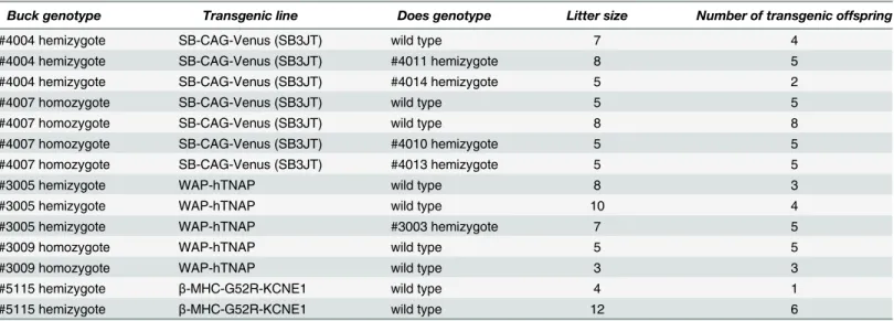 Table 1. Comparative data on litter size and transgene inheritance SB-CAG-Venus hemi- and homozygote bucks and in two independent trans- trans-genic lines, in which the transgene product is not expressed in the spermatozoa.