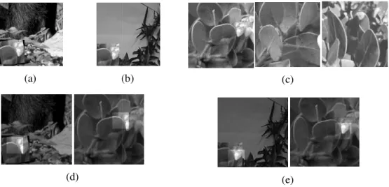 Figure 5. Detection results on  distortions. (a) The image conta