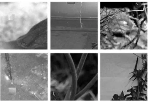 Figure 3. Example of dataset used in the experiment. In the first row from left to right, the  tampered region is rotated by angle 91, 181, and 31 respectively