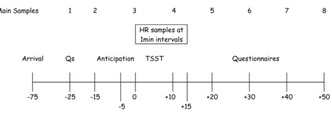 Figure 1. Timeline of the testing procedure.