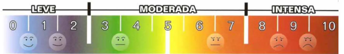 Figura 2 - Escala analógica visual (VAS)