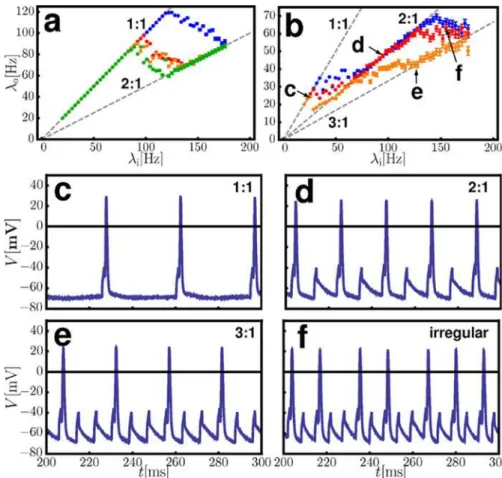Figure 6. Non-monotonic response to regular inputs as observed in MNTB-neurons from whole-cell patch-clamp recordings