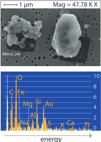 Fig. 3. SEM and EDX analysis of a mineral dust grain (right-hand grain) following a NanoSIMS measurement