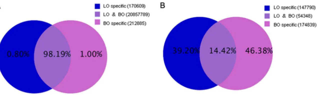 Figure 3. Distribution of sRNAs among different categories in the BO (A) and LO (B) library