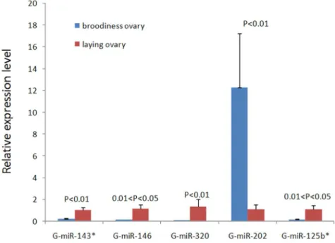Figure 7. Gene ontology classification annotated by gene2go for target genes of differentially expressed miRNAs