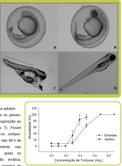 FIGURA  7:  Mortalidade  de  embriões  e  larvas  (círculos)  e  adultos (triângulos) após 96 h de exposição ao TCS (valores  médios ± erro padrão)