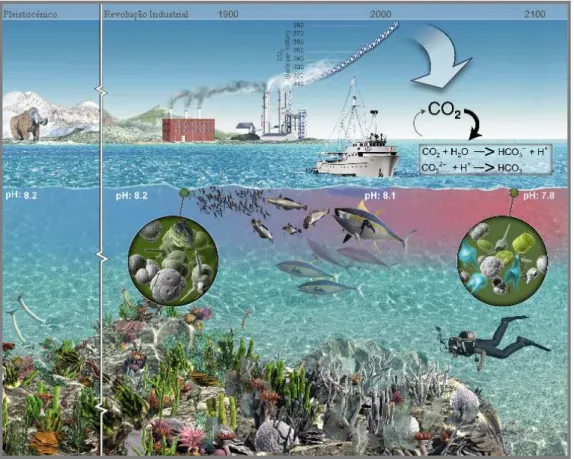 FIGURA  3:  Evolução  das  emissões  antropogénicas  de  CO 2   e  da  consequente  acidificação  (diminuição do pH) dos oceanos (adaptado de MBARI)
