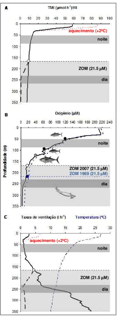 FIGURA 7: Fisiologia metabólica e ecologia vertical de  Dosidicus gigas. (A) Taxas metabólicas inactivas (TMI; 