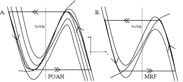 Figure 4 shows the typical activity traces of this sub-circuit and how changes in I hom induce changes in state