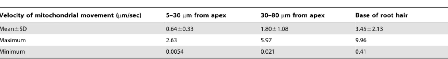 Table 1. Overview of mitochondrial linear movements along the direction of growth in growing root hairs (n = 22 root hairs, 979 mitochondria).