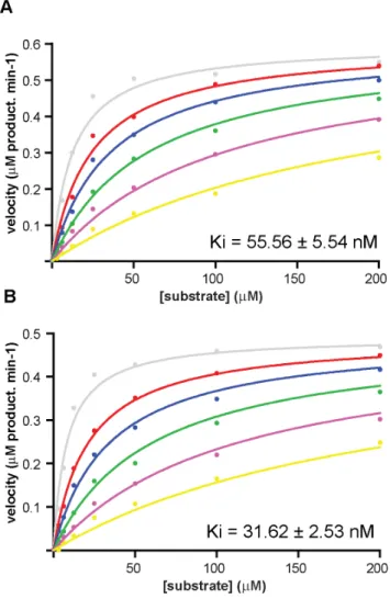 Figure 1. Madanins are intrinsically disordered in solution.