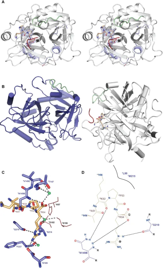Figure 7. A product of madanin-1 hydrolysis remains bound to the active site of a -thrombin