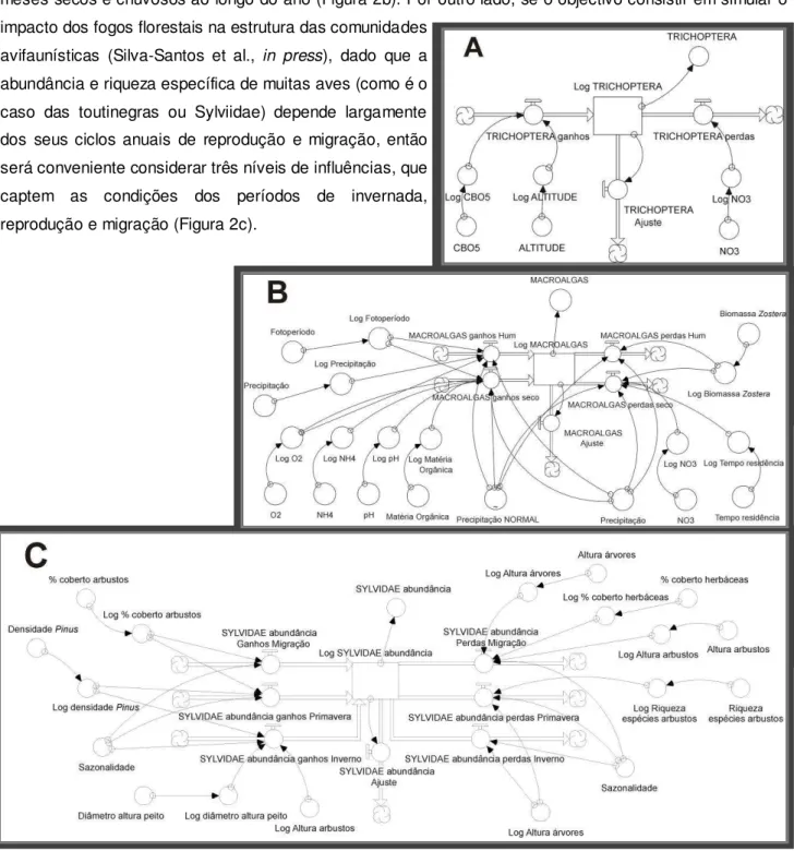 FIGURA 2: As unidades base de modelação na StDM “desenhadas” de acordo com os objectivos de diferentes estudos