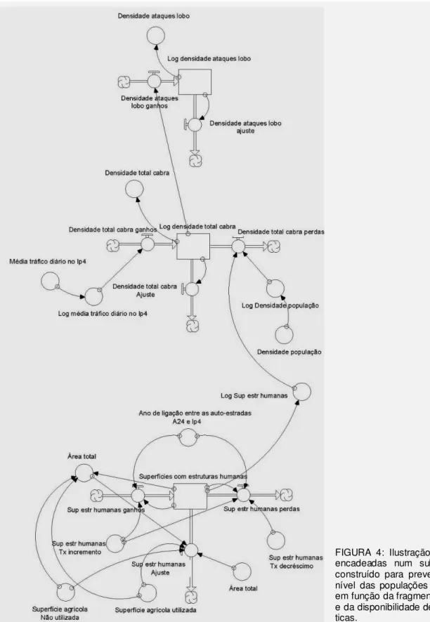 FIGURA  4:  Ilustração  de  interacções  encadeadas  num  sub-modelo  StDM  construído  para  prever  alterações  ao  nível  das  populações  de  Lobo-ibérico  em função da fragmentação do habitat  e da disponibilidade de presas  domés-ticas.