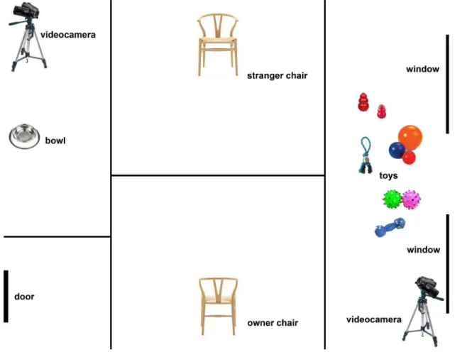 Figure 1. Experimental setup. Schematic representation of the testing apparatus.