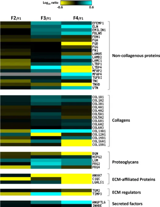 Fig 4. Liver ECM proteome profiles in HCV-induced liver fibrosis progression. Abundance ratios F2/F1, F3/F1 and F4/F1 were calculated and analyzed by heat map analysis