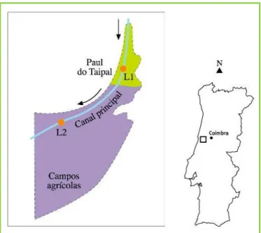 FIGURA 2: Paul do Taipal. 