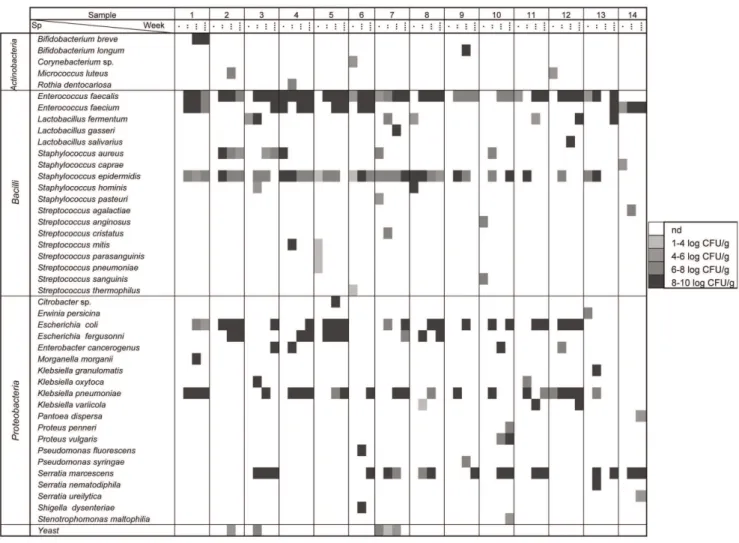 Figure 1. Counts of microbial species isolated and identified by species-specific PCR or 16S rRNA sequencing PCR