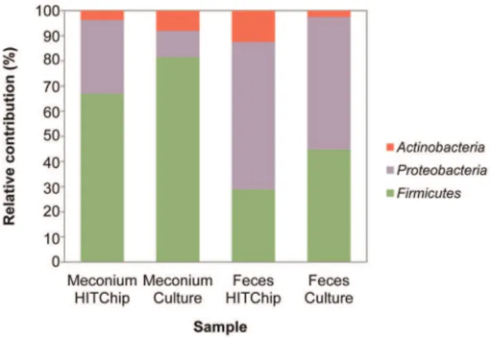 Figure 7. Relative contribution of the phylum/order-like phylogroups to the microbiota of studied infants assessed by HITChip.