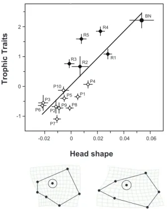 Figure 5. Stomach contents of Sarcocheilichthys variegatus microoculus captured in rocky (R4, R5) and pebbly zones (P2, P8), evaluated using Hynes’s points method [41]