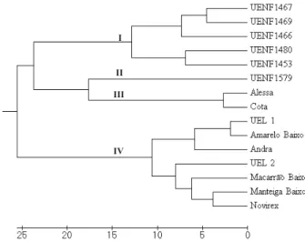 Table 3. Determination of the ideal number for genotype grouping by the statistics pseudo F and pseudo t 2  based on the UPGMA method